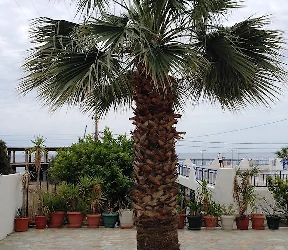 Palm Bay Appartement *