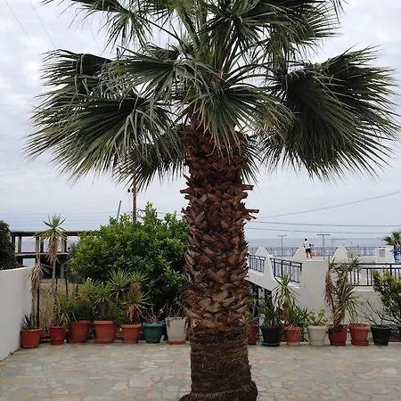 Palm Bay Lägenhet *